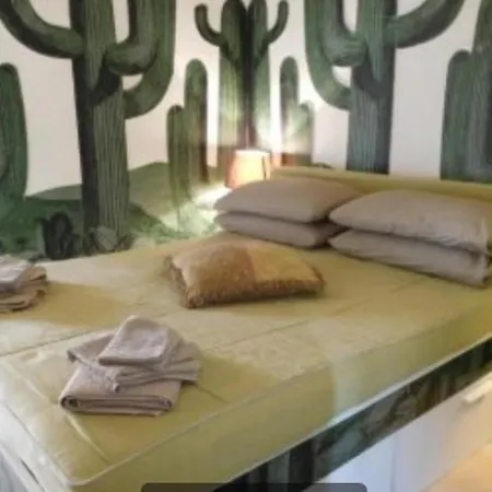 Casa Del Cactus Luxury Guest house *